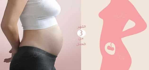 بطن الحامل في الشهر الثالث