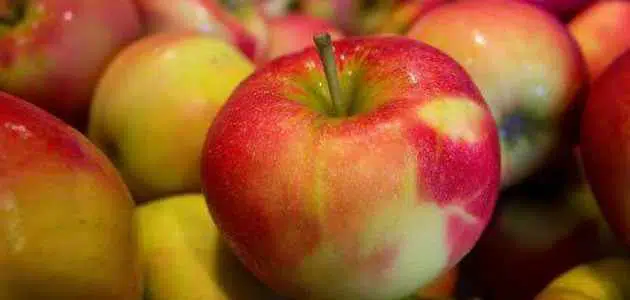تفسير رؤية التفاح في المنام