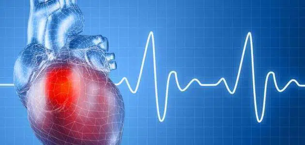 تنظيم ضربات القلب طبيعياً