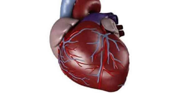 علاج شرايين القلب المسدودة