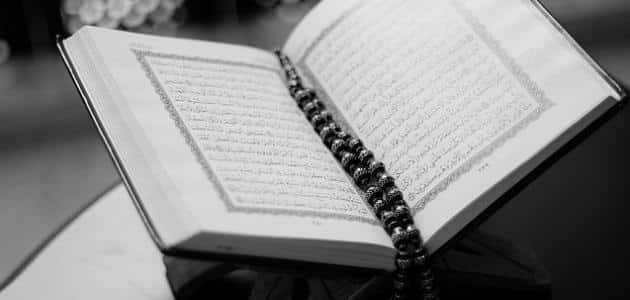 قصص الانبياء في القرآن الكريم