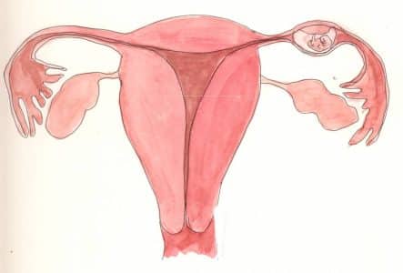 صور الحمل خارج الرحم