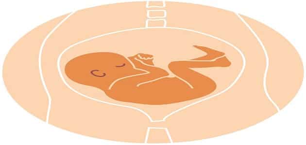 إفرازات بيضاء أثناء الحمل وجنس الجنين