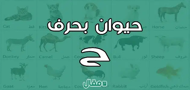 حيوان بحرف الحاء ح
