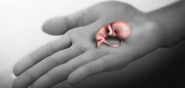 الإجهاض المتعمد في الشهر الأول