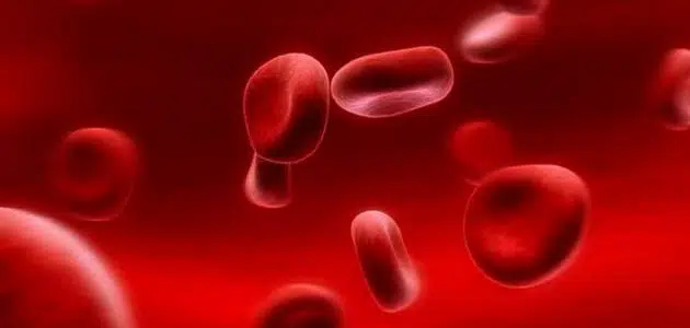 كمية الدم في جسم الإنسان