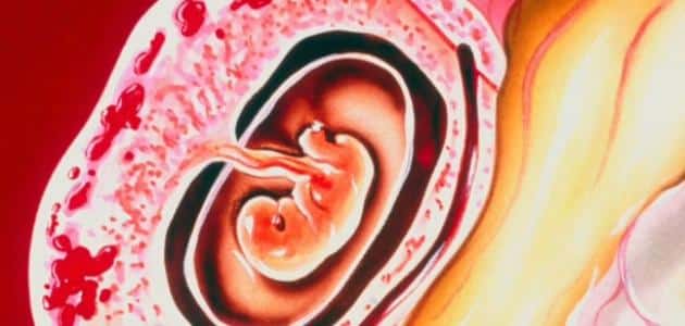أعراض الحمل خارج الرحم الأكيدة