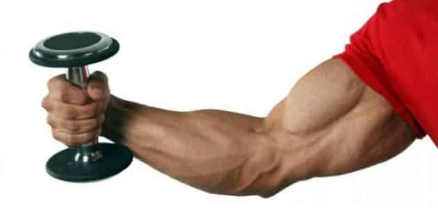 كيف تقوّي عضلات اليد