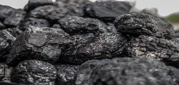 مراحل تكون الفحم الحجري