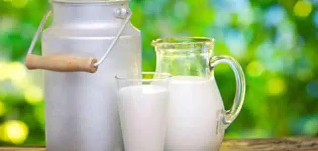 الحليب في المنام للعزباء