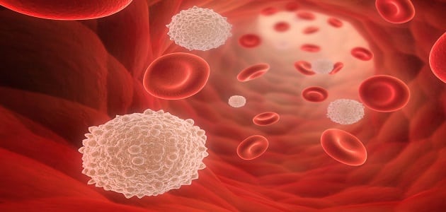 هل ميكروب الدم هو سرطان الدم