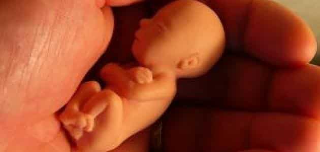 افرازات الحمل بعد الإجهاض مباشرة
