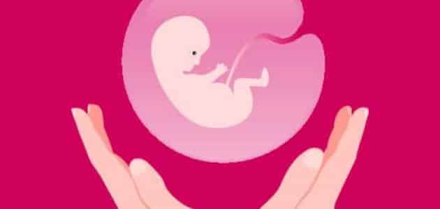طرق الإجهاض في الشهر الأول