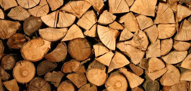أفضل أنواع الخشب للكنب: معلومات ستغير من تفكيرك!