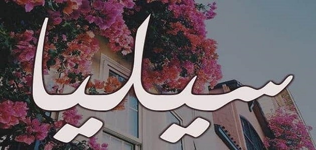 ما معنى اسم سيليا في الإسلام