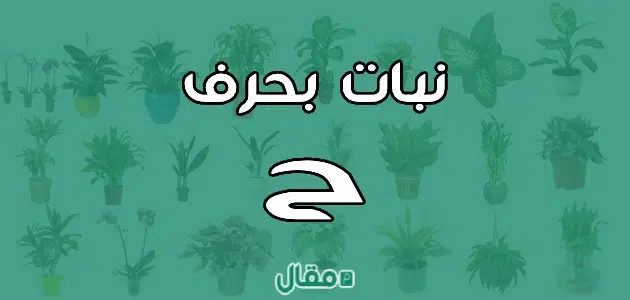 نبات بحرف الحاء ح