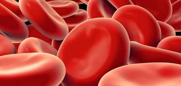 هل ميكروب الدم يؤثر على الحمل