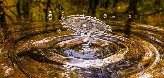 الفرق بين المياه العذبة والمياه المالحة