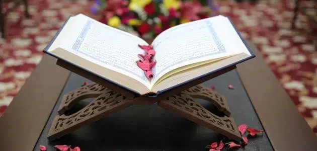 كم عدد آيات القرآن الكريم وحروفه وعدد أحزابه