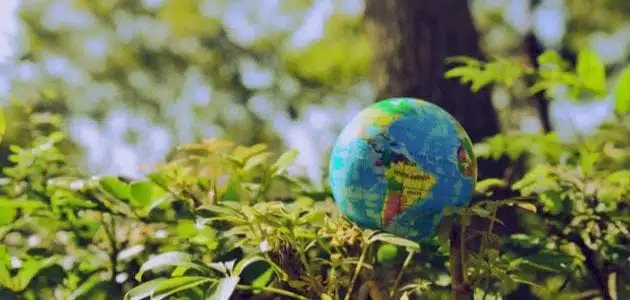 المحافظة على كوكب الأرض