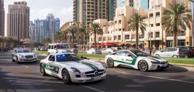 رتب الشرطة الإماراتية