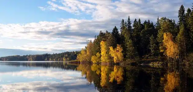 عدد البحيرات في السويد