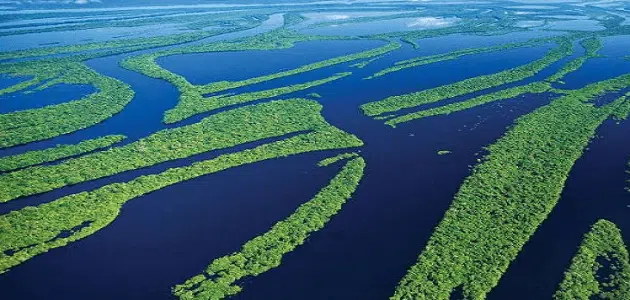 من أين ينبع نهر الأمازون