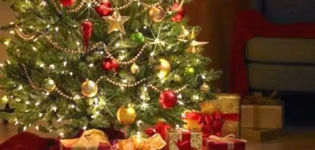 شجرة عيد الميلاد المجيد