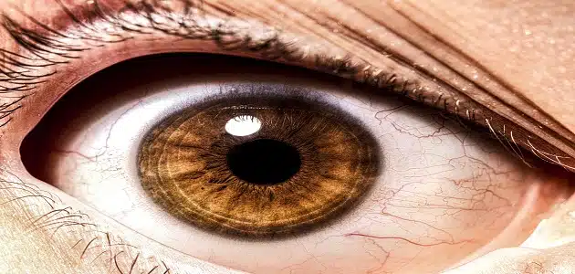 هل النبض في الجسم من علامات العين