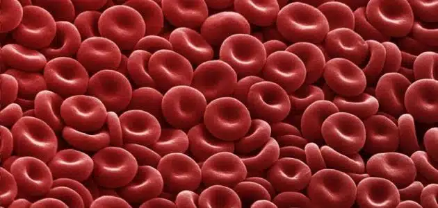 تحليل red blood cells